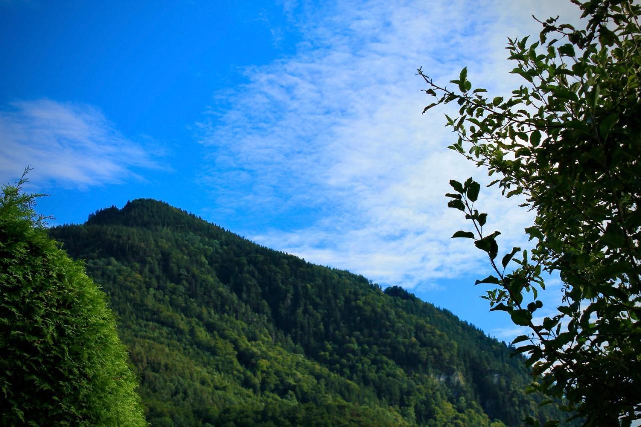 Ferienwohnung Bergliebe Staudach-Egerndach エクステリア 写真